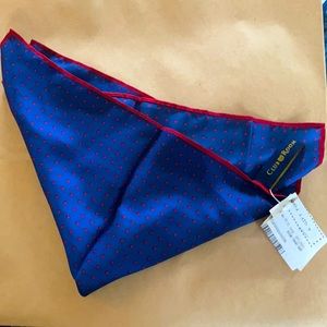 Club Room Pocket Square